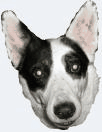 1534794411.0289-smiley.gif