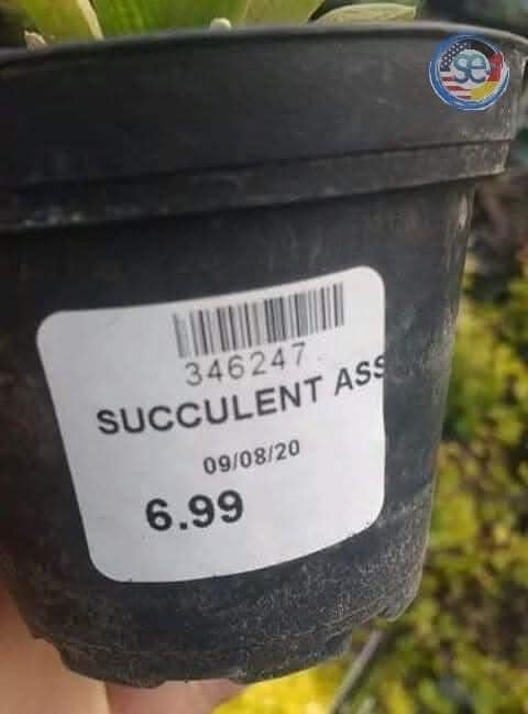1740612997471.png