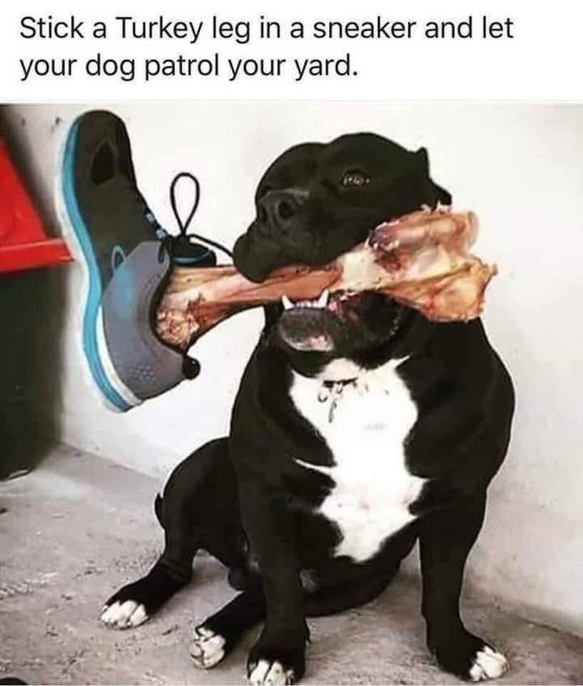1746567659081.png