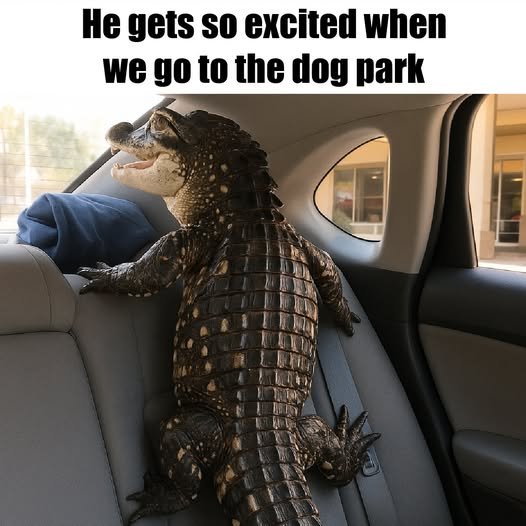 1748465132167.png