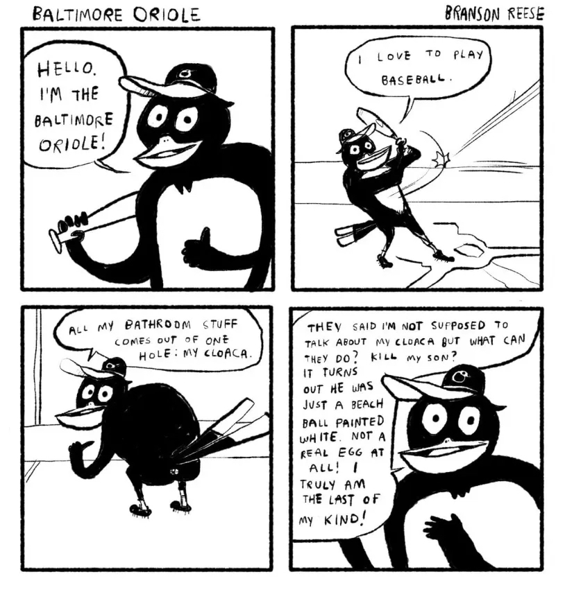 1777606463008.jpeg
