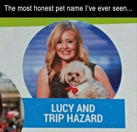 1790474076019.png