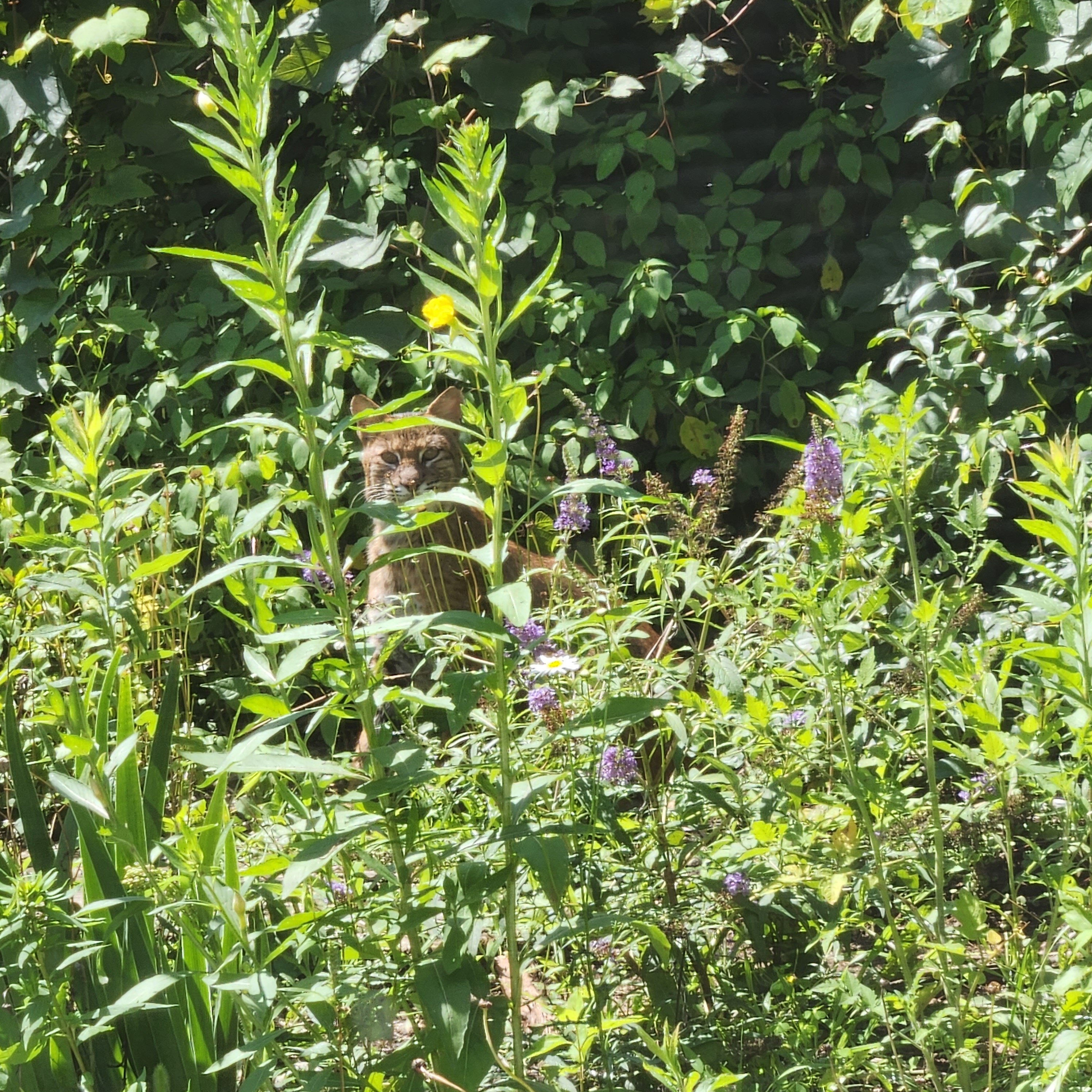 20230731_112740.jpg