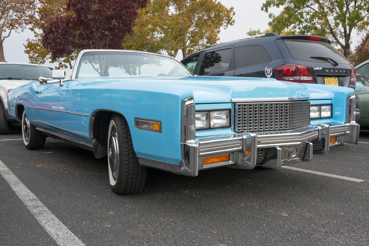 DSC_1359.jpg