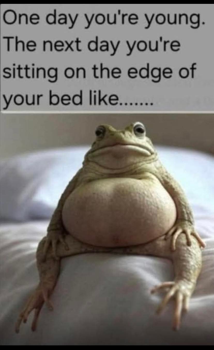 FB_IMG_1743285784512.jpg