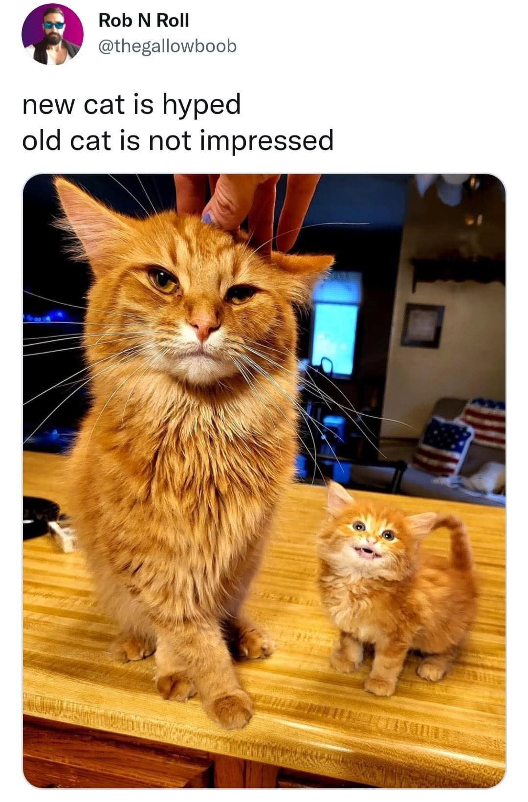 FB_IMG_1745425331398.jpg