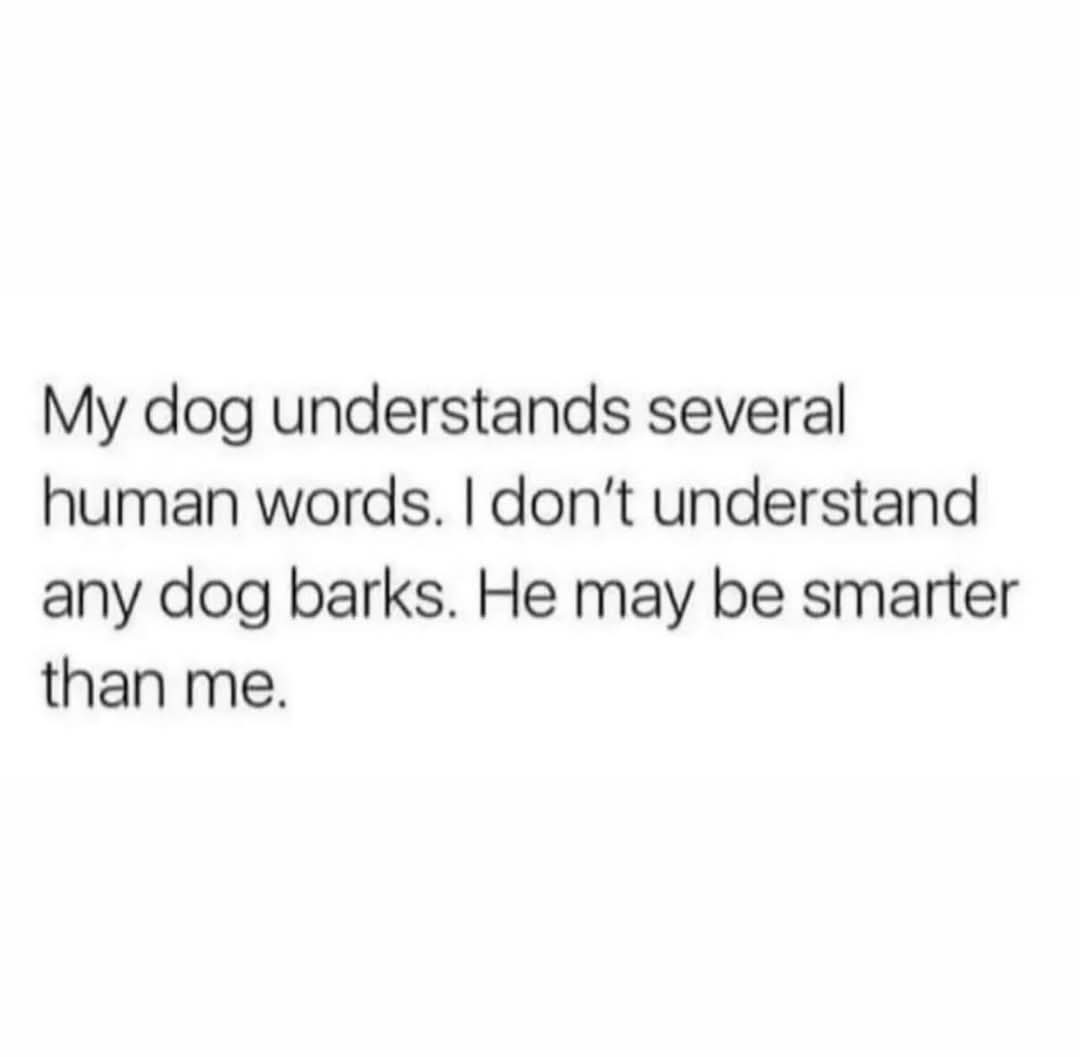 FB_IMG_1747684678084.jpg