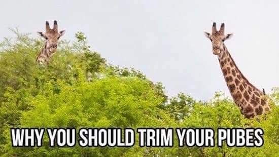 FB_IMG_1757946766292.jpg