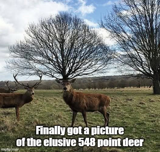 FB_IMG_1761651756383.jpg
