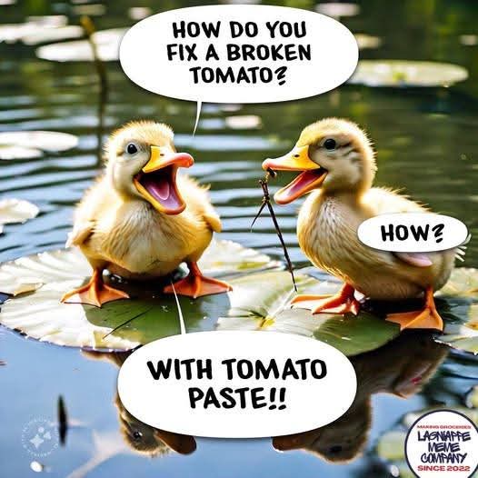 FB_IMG_1777550911848.jpg