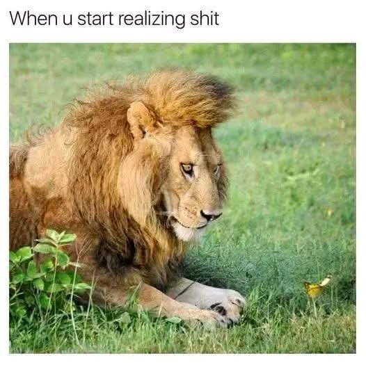 FB_IMG_1781873150312.jpg