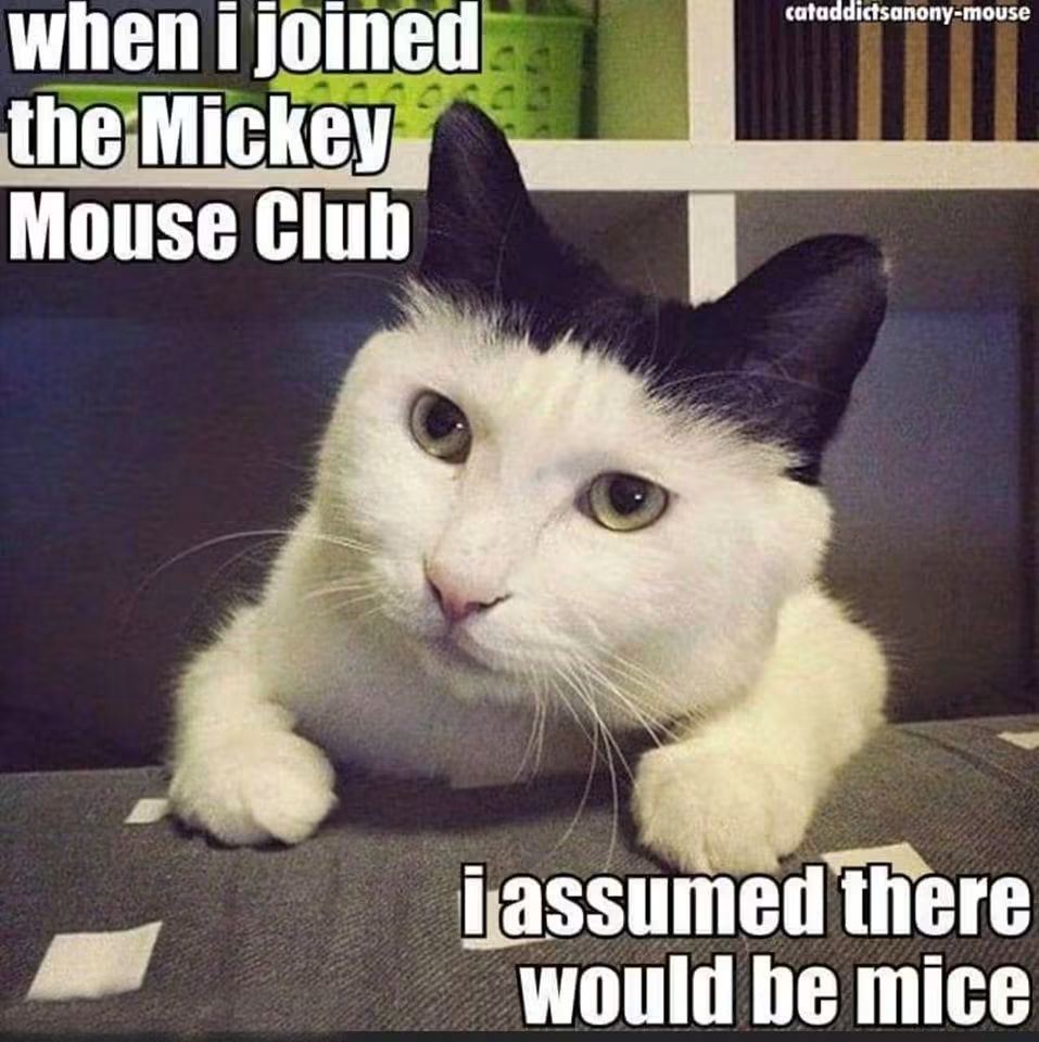 FB_IMG_1790523140677.jpg