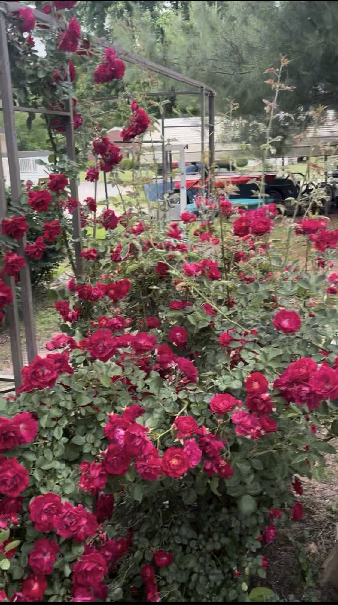 IMG_0531.jpeg