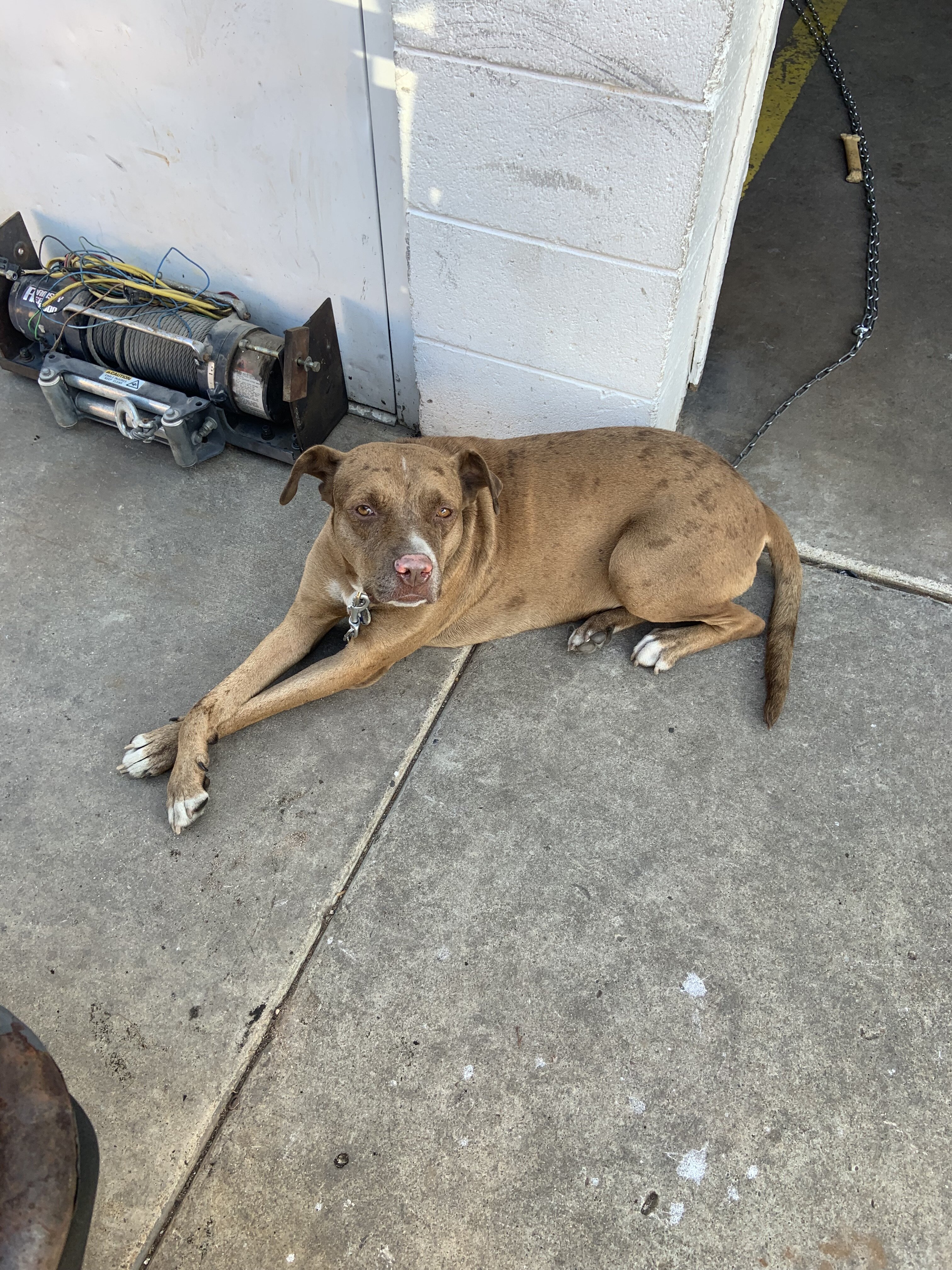 IMG_0967.jpeg