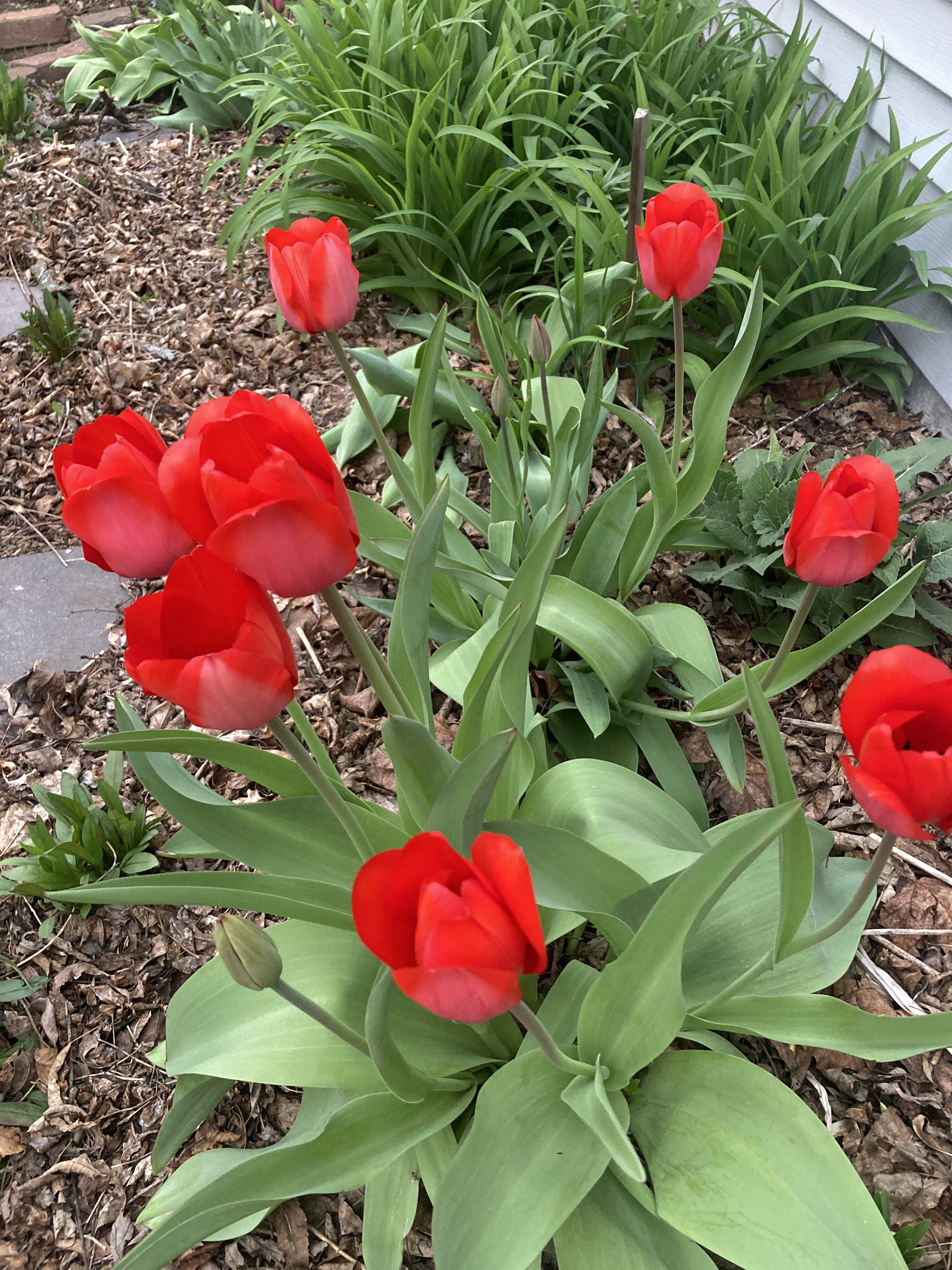 IMG_5118.jpeg