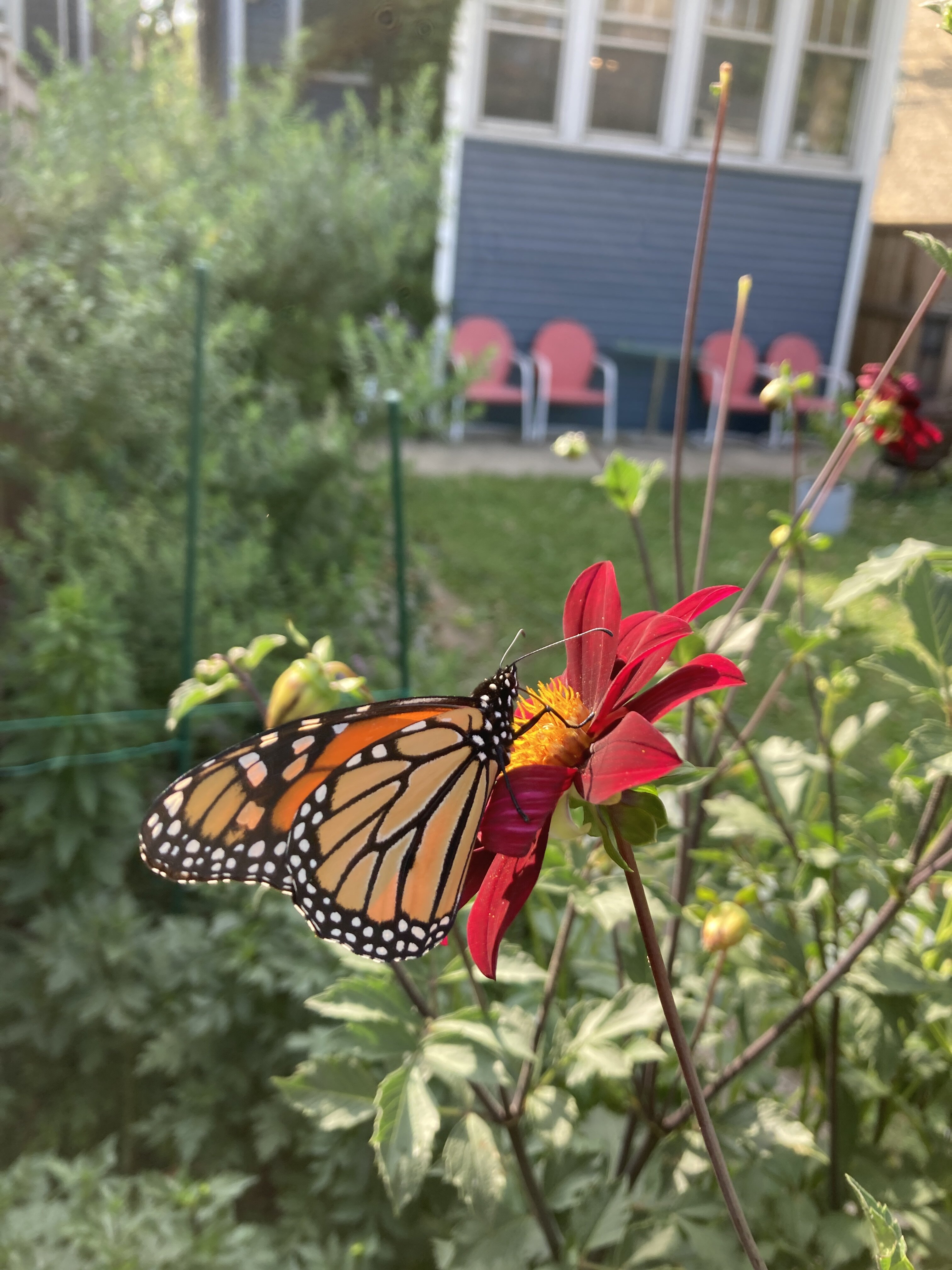 IMG_6825.jpeg