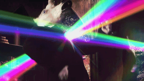 IMG_8534.gif