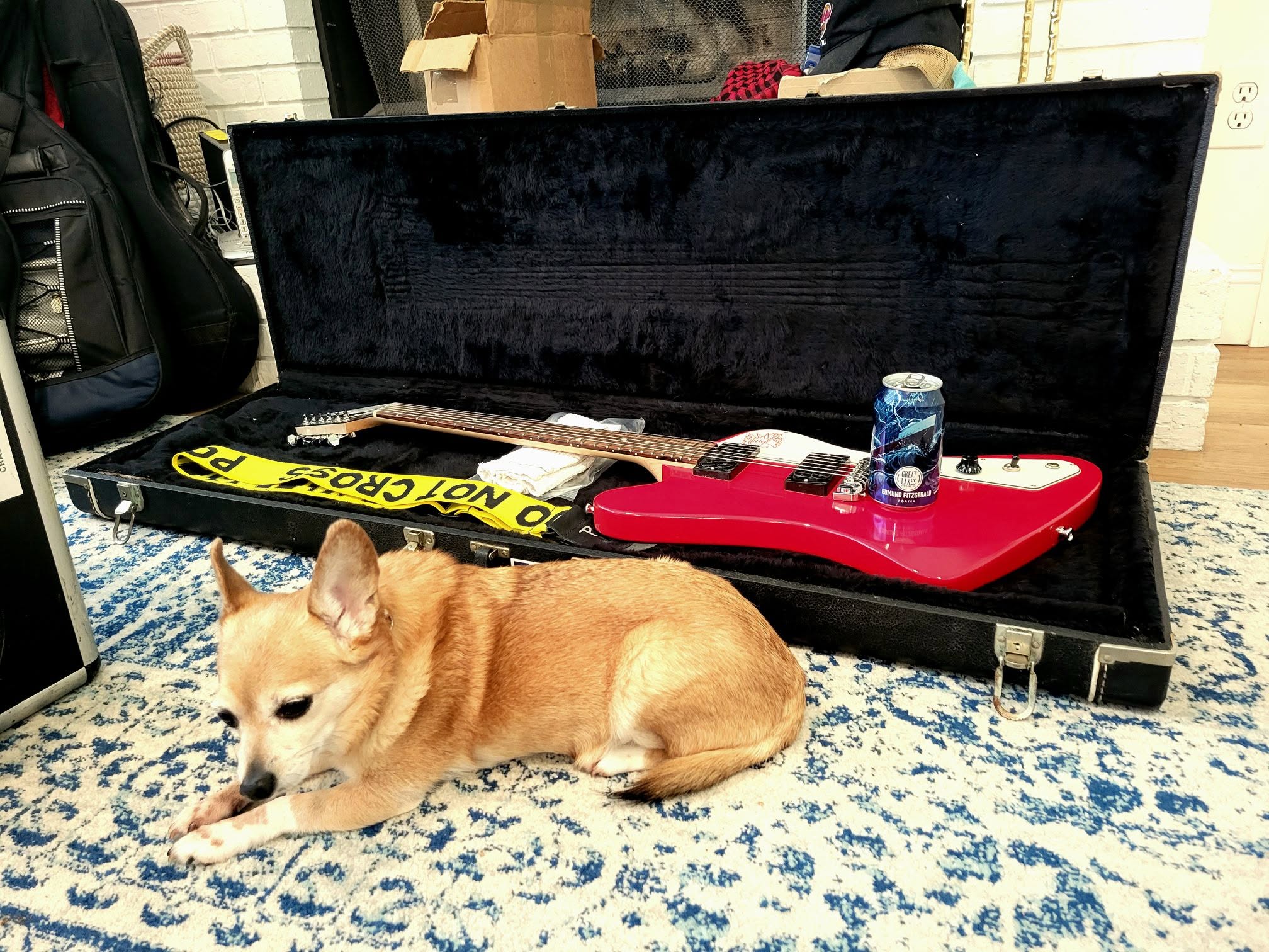 Lola Zira Porter.jpg