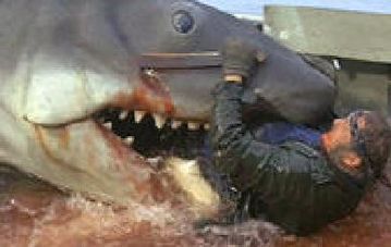 quint.jpg_w=359.cf.jpg