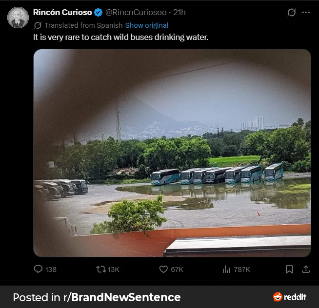 RDT_20260501_0824175243122706811800567.png