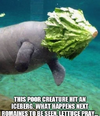 1781321644519.png