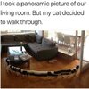 FB_IMG_1781938542891.jpg