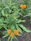 IMG_5961.jpeg