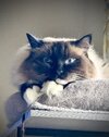 IMG_4447.jpeg