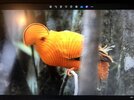 IMG_2818.jpeg