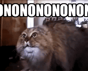 :nonocat:
