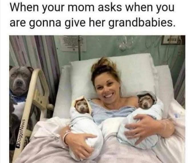 FB_IMG_1747194115152.jpg