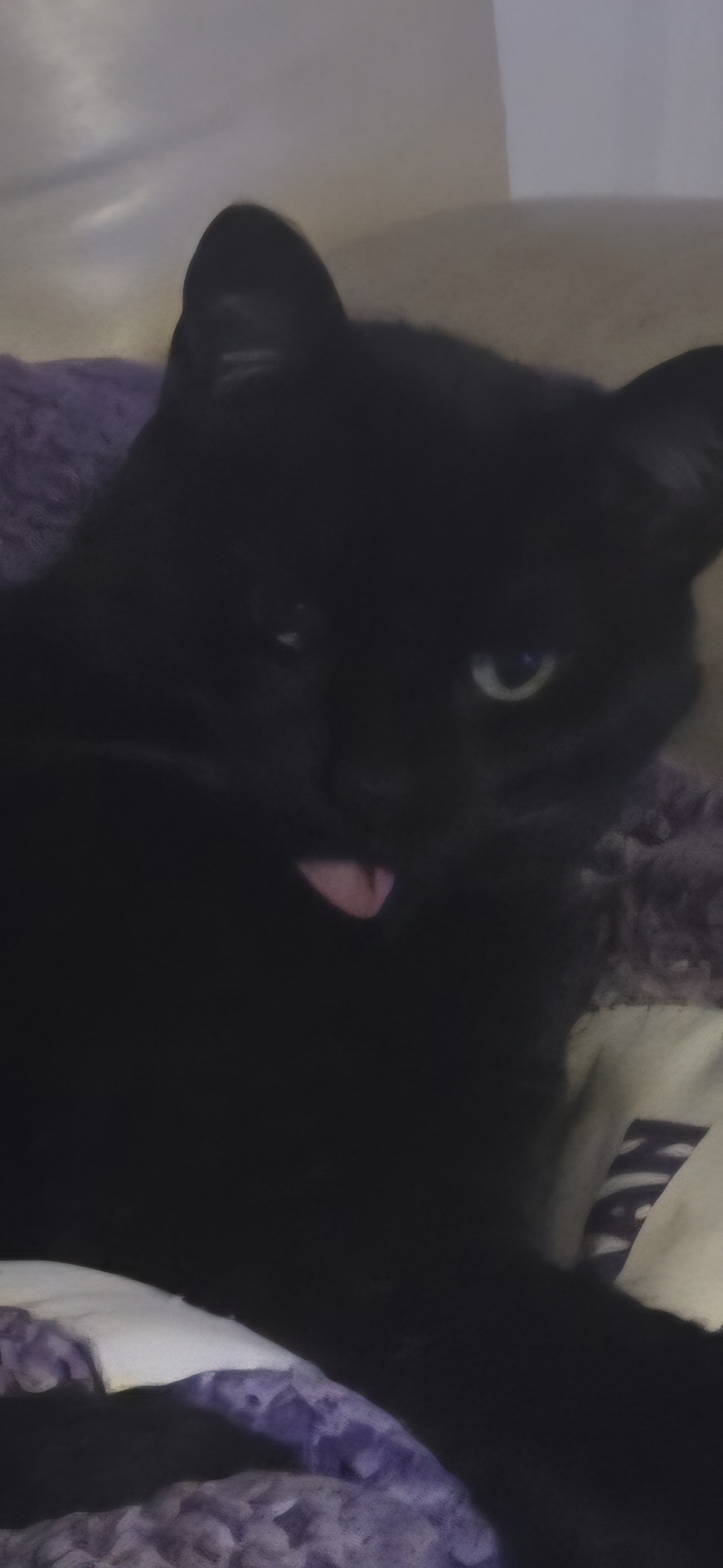 Screenshot_20260106_205601_Android System.jpg