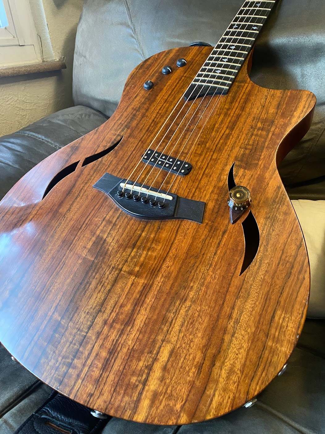 TaylorT5-custom.jpg