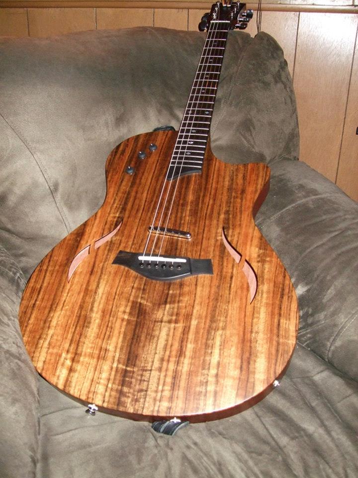 TaylorT51.jpg