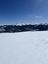 IMG_7659.jpeg