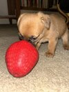 IMG_0714.jpeg