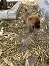 IMG_0746.jpeg