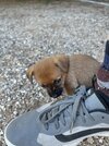 IMG_0733.jpeg