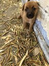 IMG_0747.jpeg