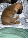 IMG_0711.jpeg