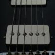 bluesnapper